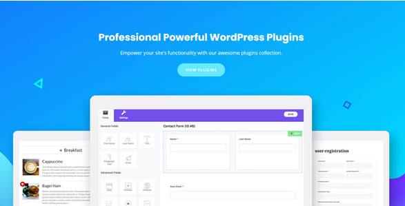 User Registration Pro v6.1.4（主插件已汉化） + Addons – WordPress用户注册插件