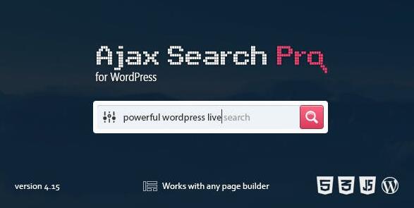 Ajax Search Pro v4.29.4(已汉化) – 实时WordPress搜索和过滤器插件