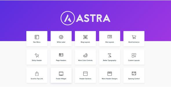 Astra Pro v4.13.10（已汉化）–使用Pro插件扩展Astra主题