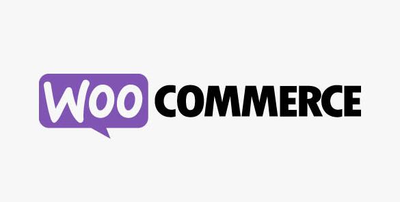 Bulk Table Editor for WooCommerce v2.6.10无限制版（已汉化） – WooCommerce表批量编辑器