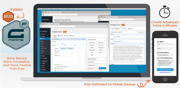 Gravity Forms v2.4.22.3 无限制版– WordPress表单插件