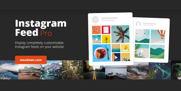 Custom Instagram Feed Pro v6.14.0（已汉化） – WordPress Instagram 订阅源插件