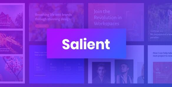 Salient v18.1.1 – WordPress响应式多用途主题