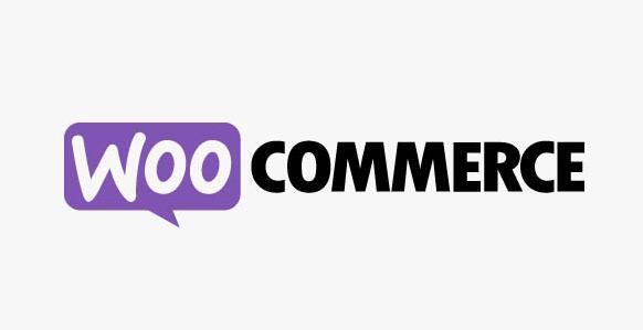 WooCommerce Group Coupons v3.5.0（已汉化）