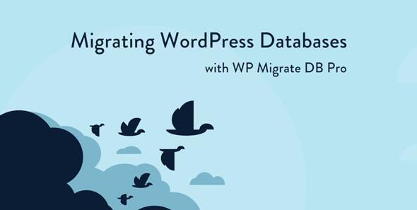 WP Migrate DB Pro v2.7.11无限制版 – WordPress数据库迁移插件