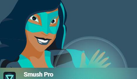 WP Smush Pro v4.3.4（已汉化）– WordPress图像优化插件