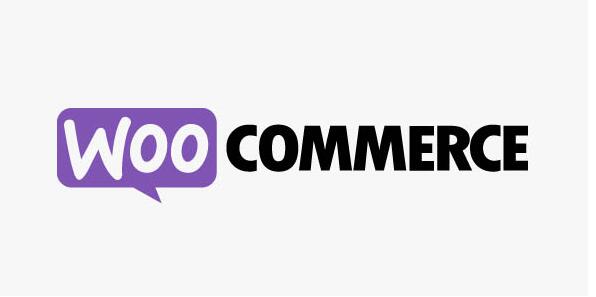 WooCommerce RedSys Gateway v32.1.0（已汉化）- WooCommerce Redsys支付网关插件