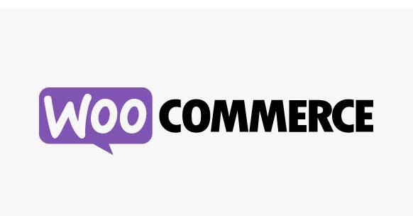 WooCommerce Google Product Feed v12.3.0无限制版 – 谷歌产品提要