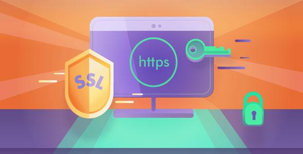 Really Simple SSL Pro v9.8.4(已汉化) – WordPress SSL插件高级版