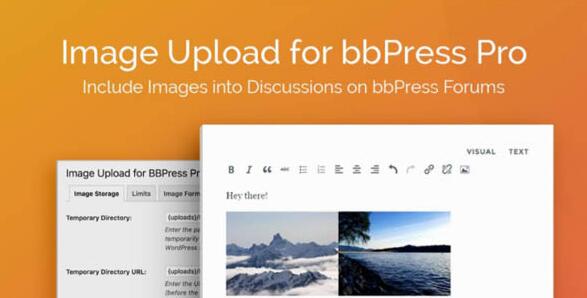 Image Upload for bbPress Pro v2.2.0无限制版（独家汉化版）