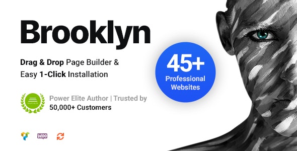 Brooklyn v4.9.9.3无限制版 – WordPress多功能企业主题
