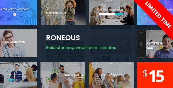 Roneous v2.1.7无限制版 – WordPress多功能主题