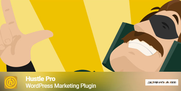Hustle Pro v7.8.12 – WordPress营销插件