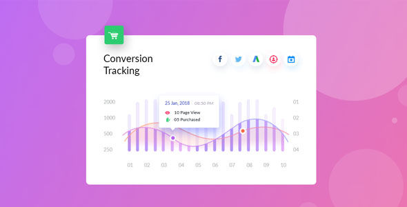 WooCommerce Conversion Tracking Pro v1.1.3无限制版