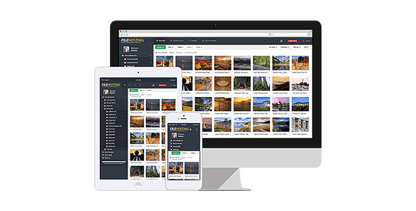 Yetishare File Hosting Script v5.6.0（已汉化73%） – 文件托管源码