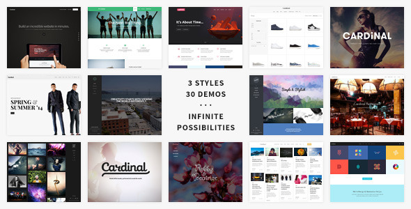 Cardinal v3.8.0 – WordPress 电商主题