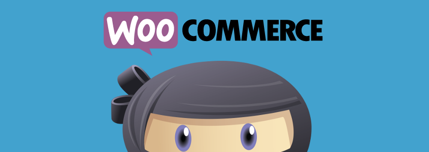 WPAdverts + Pro Extensions v2.3.4 – 使用 WooCommerce 插件  + 附加组件接受付款