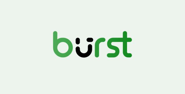 Burst Statistics Pro v1.2.3 – 适用于 WordPress 的隐私友好型分析工具